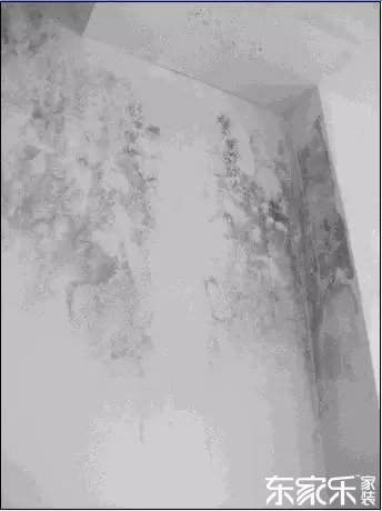 墻面發霉發黑怎么辦？墻面已經出現霉斑時怎么做？